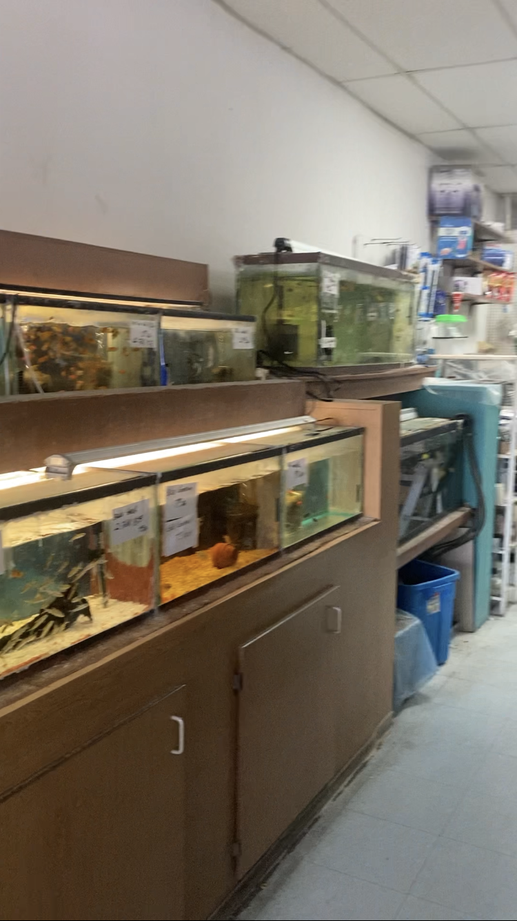 West Lake Aquarium - Photo 1