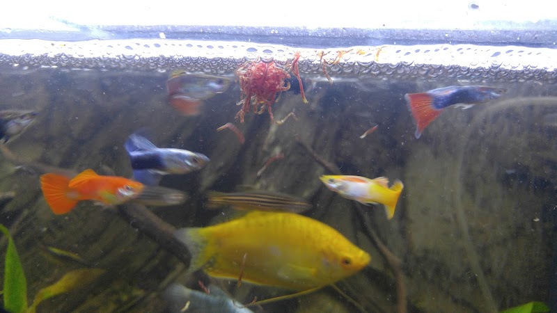 West Lake Aquarium - Photo 2