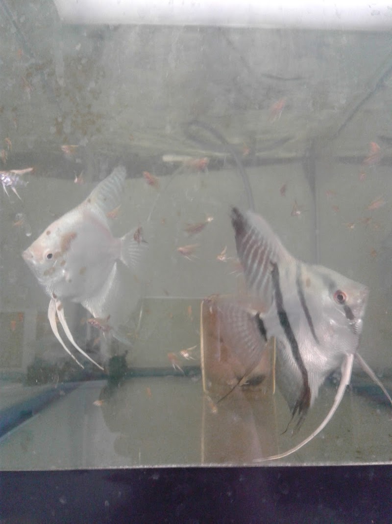 West Lake Aquarium - Photo 3