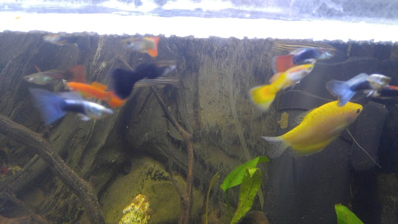 West Lake Aquarium - Photo 4