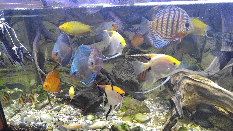 West Lake Aquarium - Photo 5