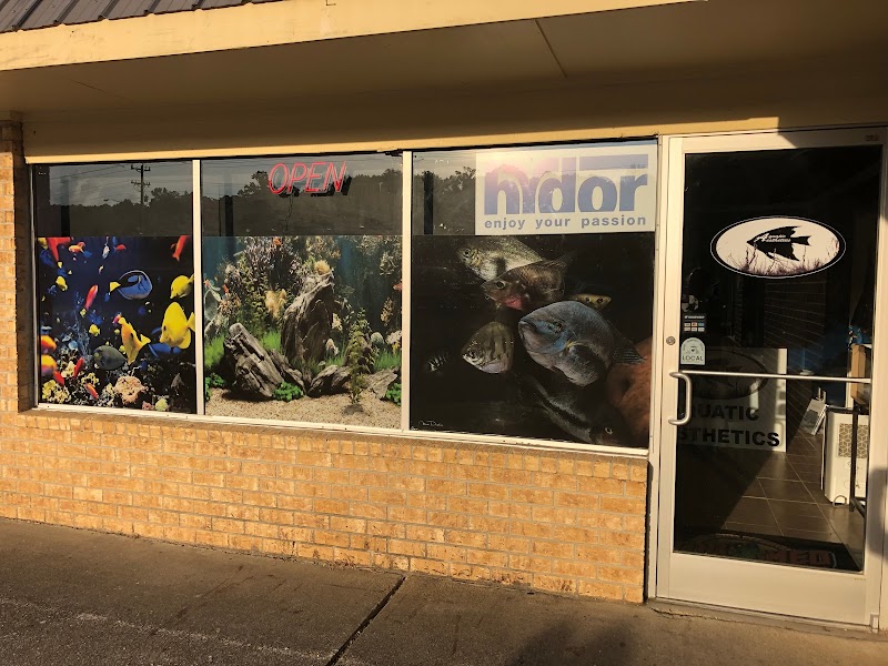 Aquatic Aesthetics - Photo 1