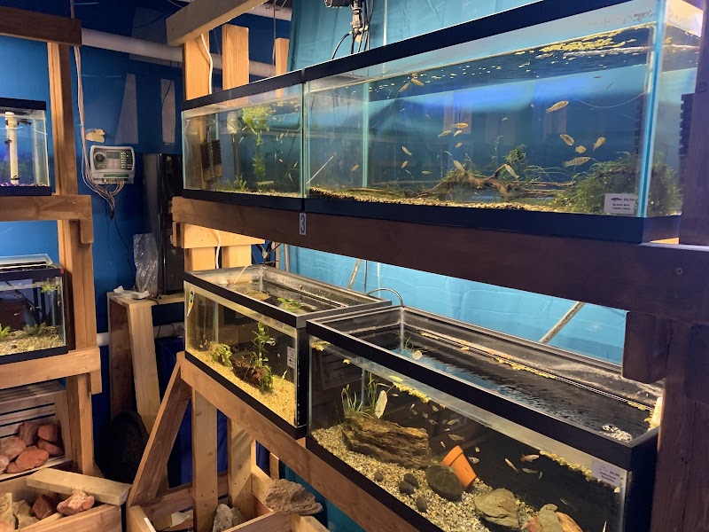 Aquatic Aesthetics - Photo 4