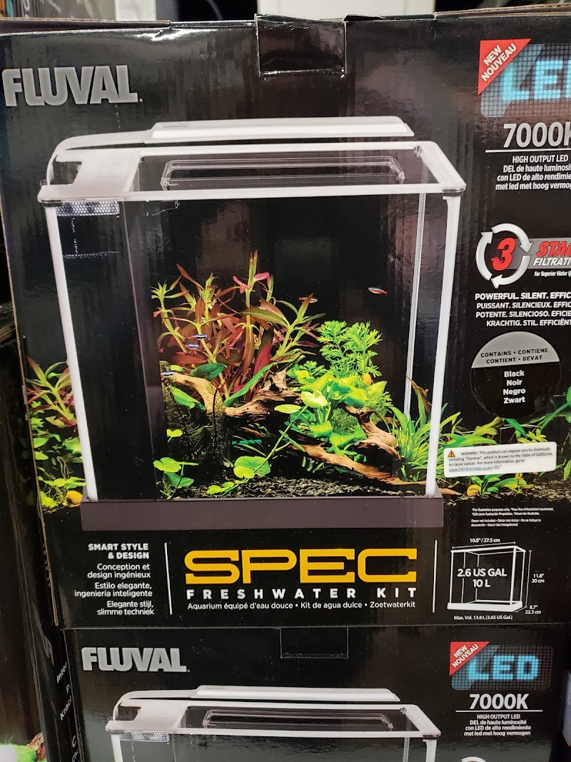 Aquatic Aesthetics - Photo 5