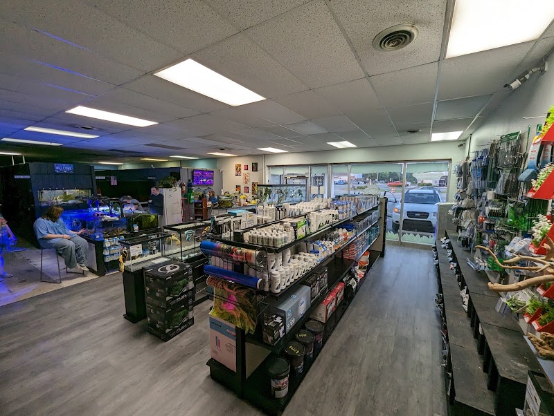 Fish Mania - Photo 2