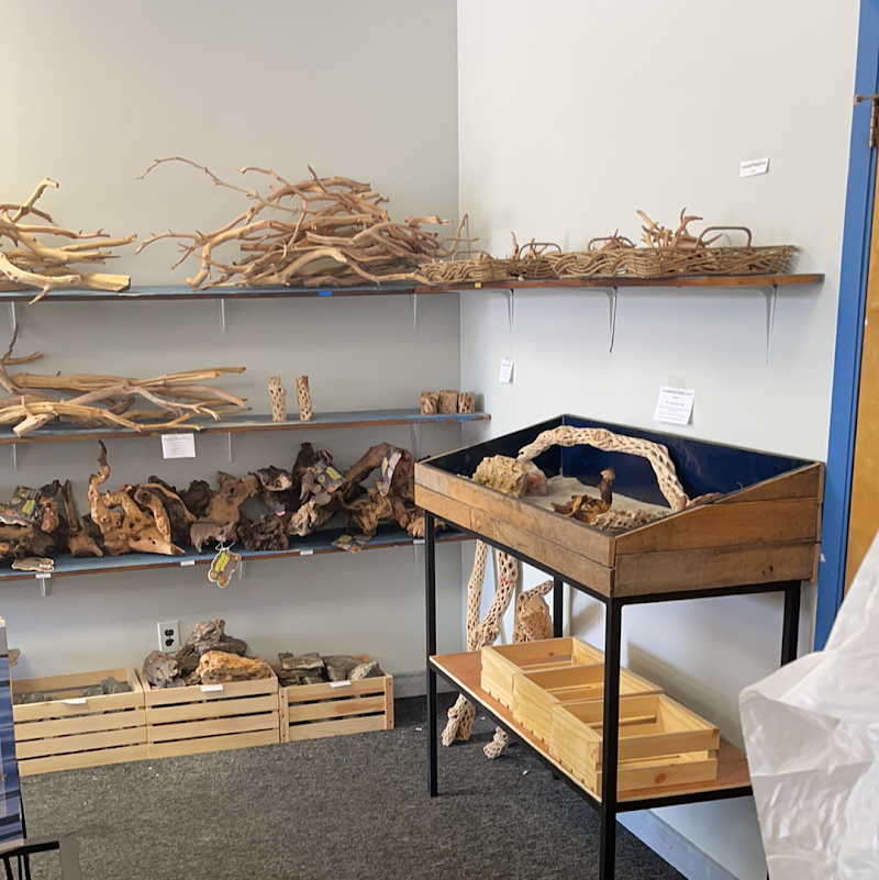 Fish Mania - Photo 4