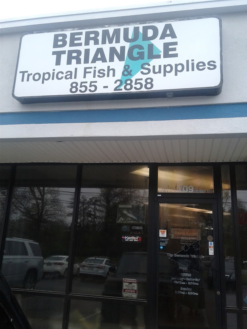 Bermuda Triangle Tropical Fish - Photo 1