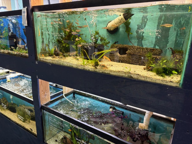 The Aquatic Den - Photo 2