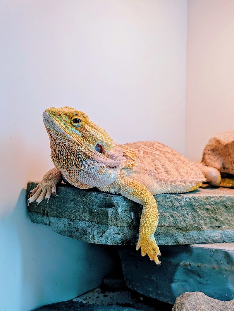 The Aquatic Den - Photo 3