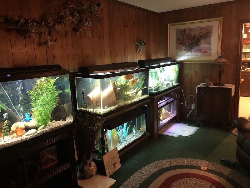 The Aquatic Den - Photo 4