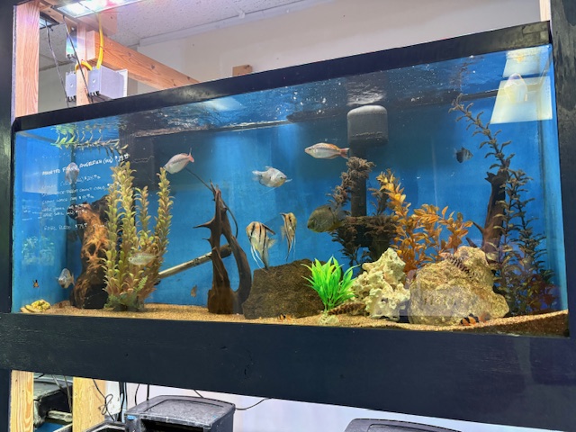 The Aquatic Den - Photo 5