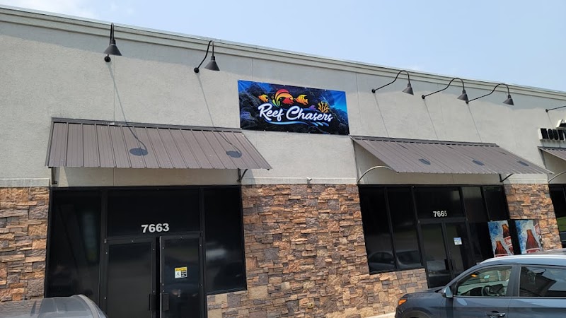 Reef Chasers - Photo 1