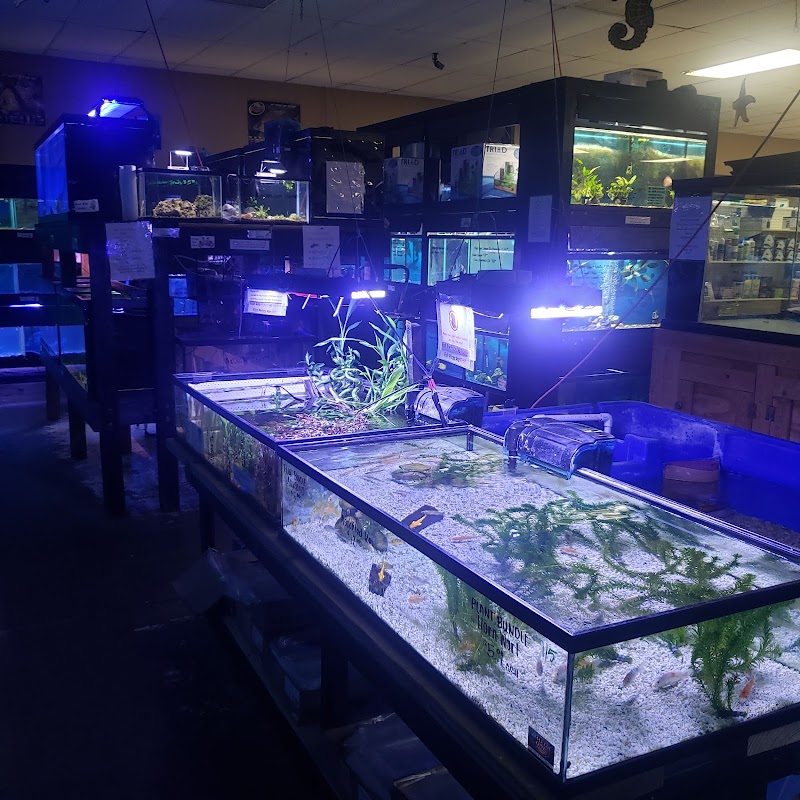 J & M Pet Land - Photo 2