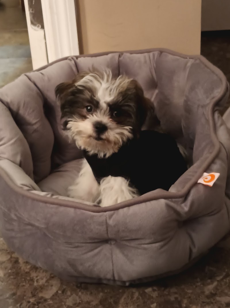 J & M Pet Land - Photo 4