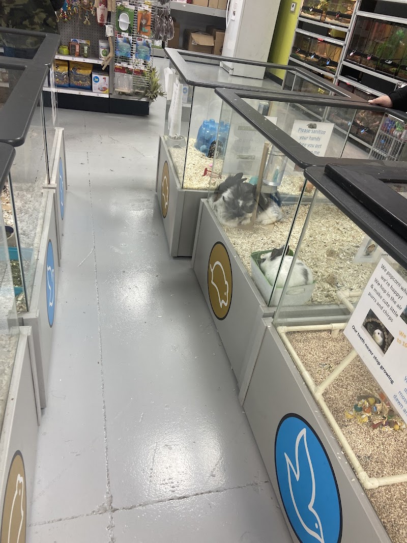 Petland Memphis - Photo 2