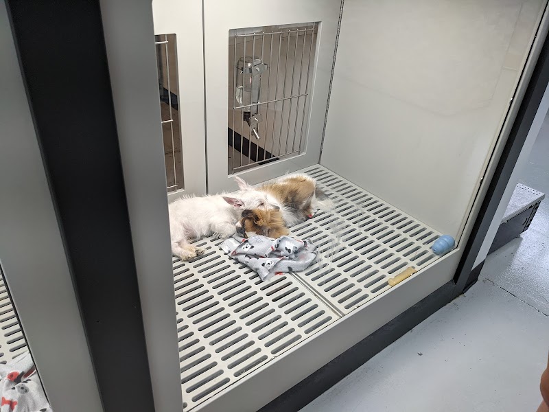 Petland Memphis - Photo 4