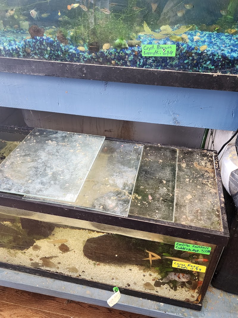 Age of Aquariums - Photo 2