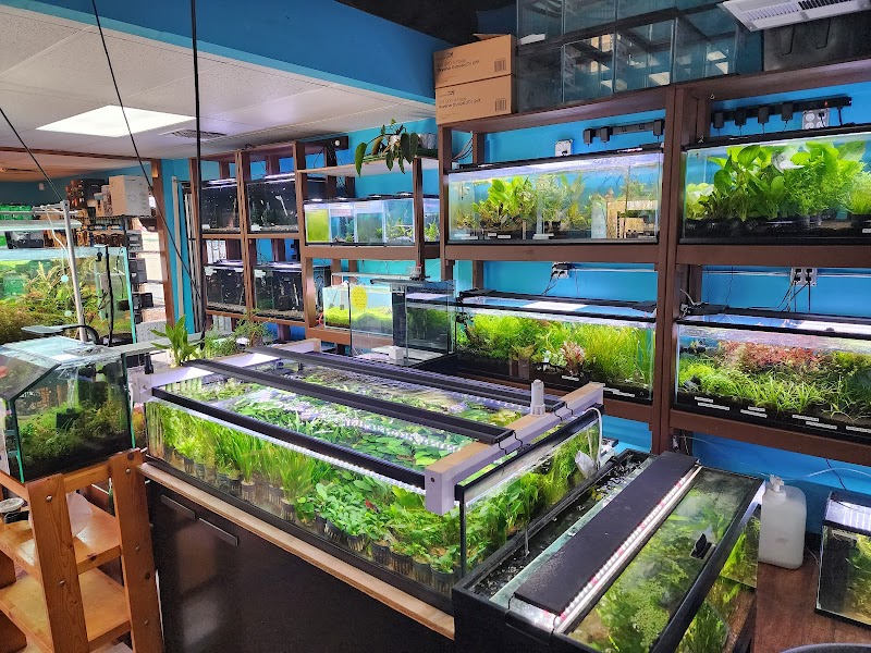 Aqua Nature Tropical Fish - Photo 1