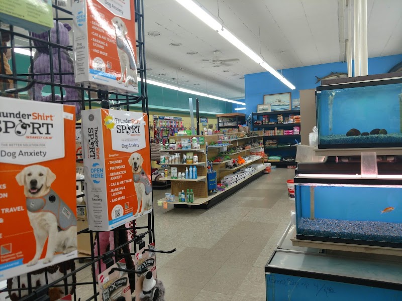 Exotic Tropicals - Photo 2