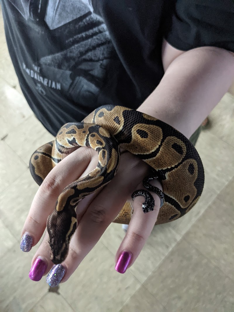 Exotic Tropicals - Photo 3