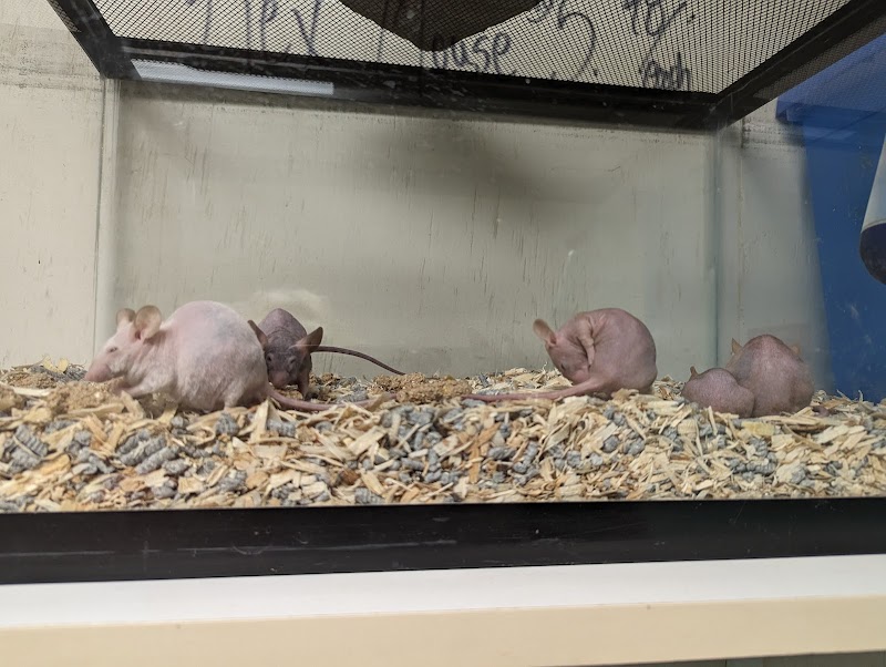 Exotic Tropicals - Photo 5