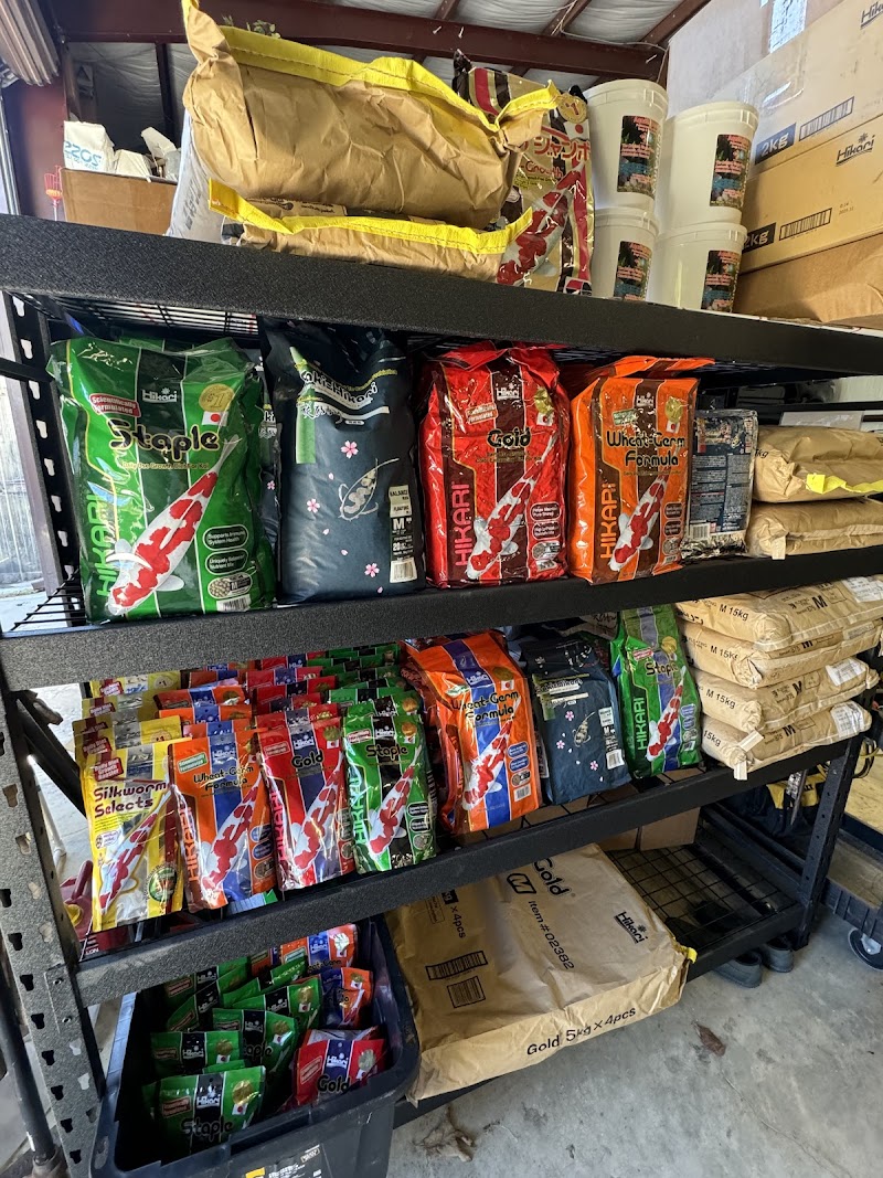 Tri-Star Koi (By Appointment) - Photo 1