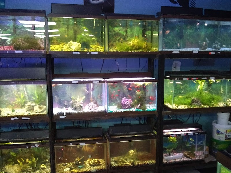 Wick's Water World - Photo 2