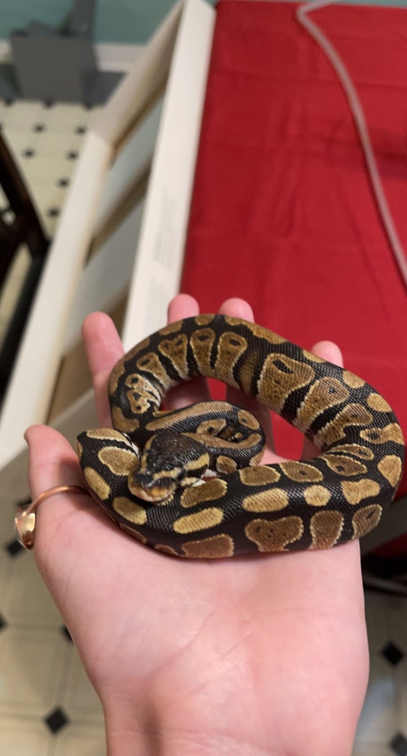 Wick's Water World - Photo 3