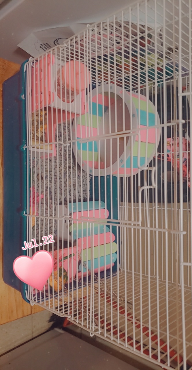 Wick's Water World - Photo 4