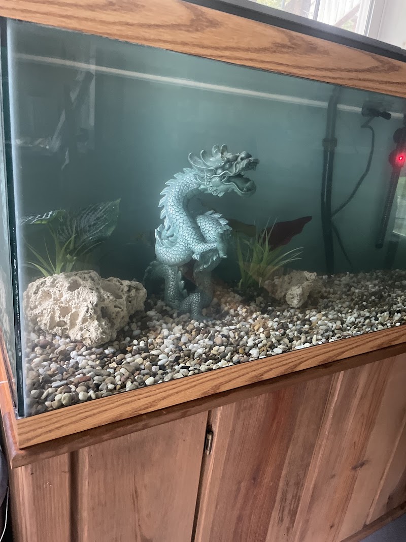 Wick's Water World - Photo 5