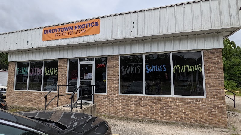 Birdytown Exotics - Photo 1