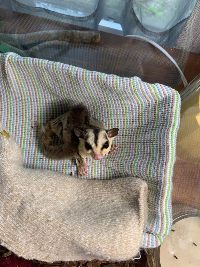 Birdytown Exotics - Photo 3