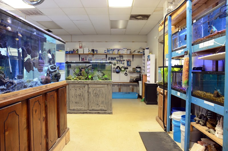 Fishy Business - Photo 3
