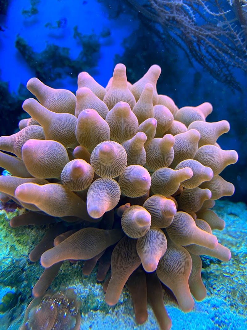 Fishy Business - Photo 5