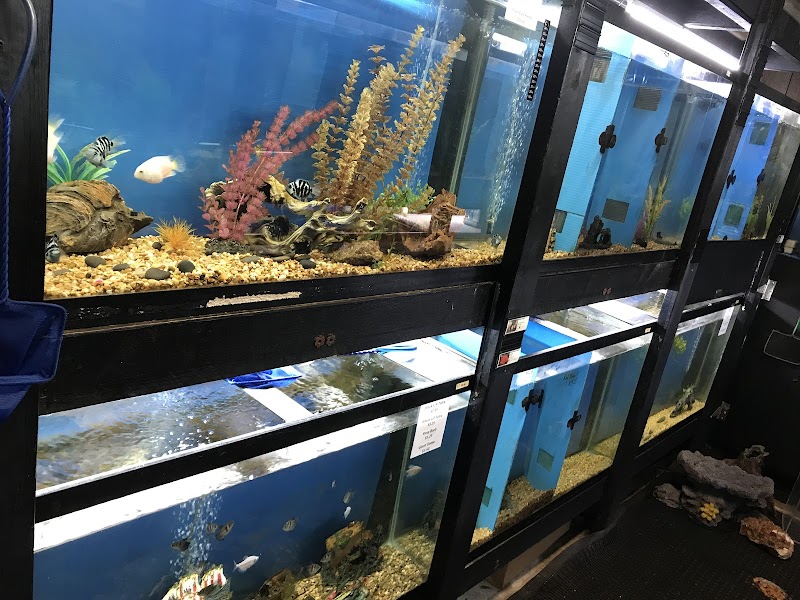 Tignor Aquatics - Photo 1