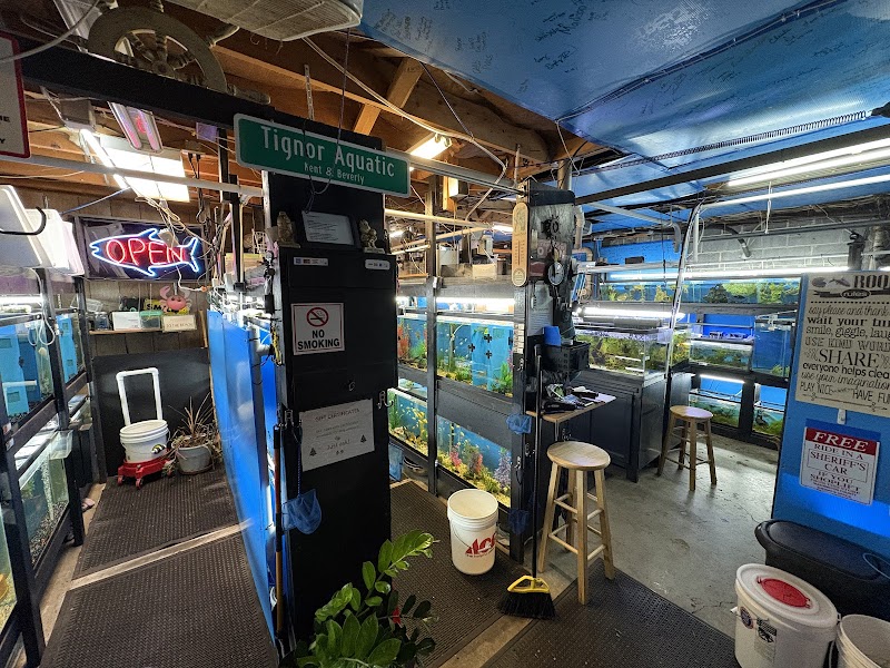 Tignor Aquatics - Photo 4