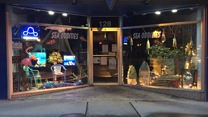 Sea Oddities - Photo 1