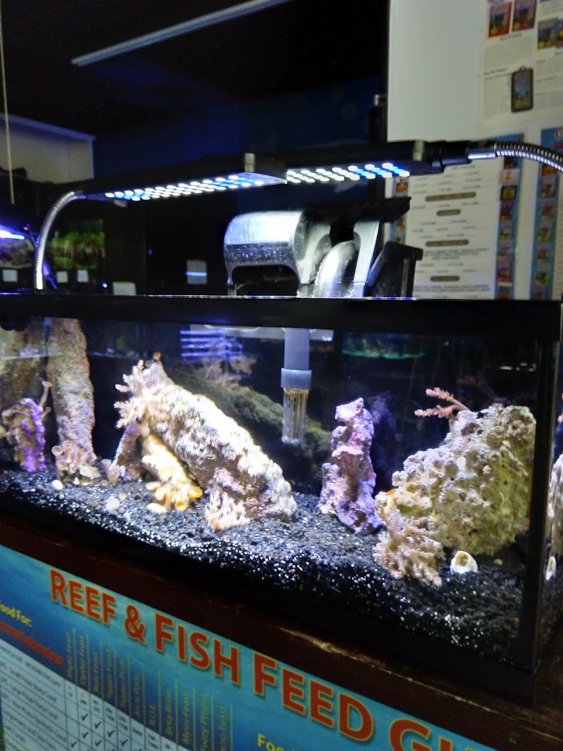 Sea Oddities - Photo 3