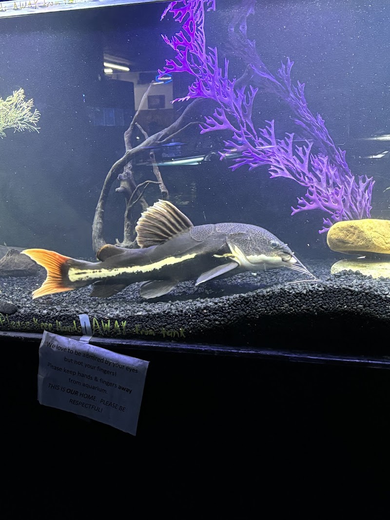 Sea Oddities - Photo 4