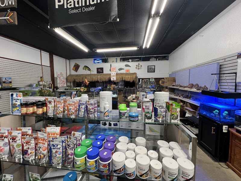 Sea Oddities - Photo 5