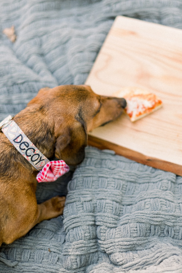 Duke & Fox - Photo 3