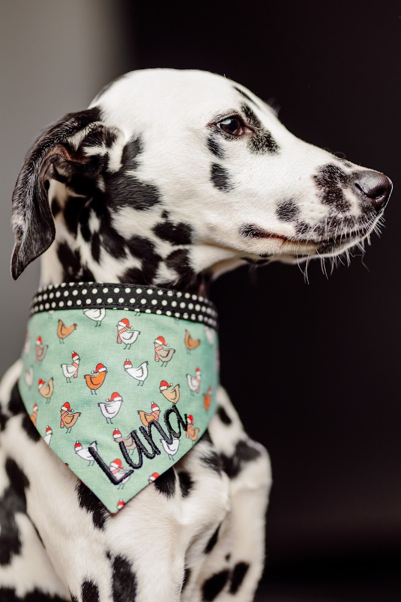 Duke & Fox - Photo 5