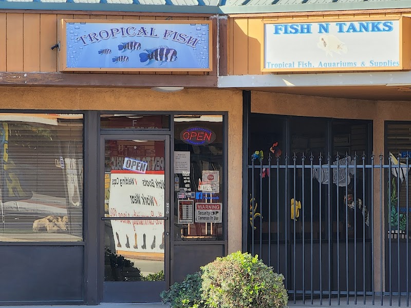 Fish N Tanks - Photo 1