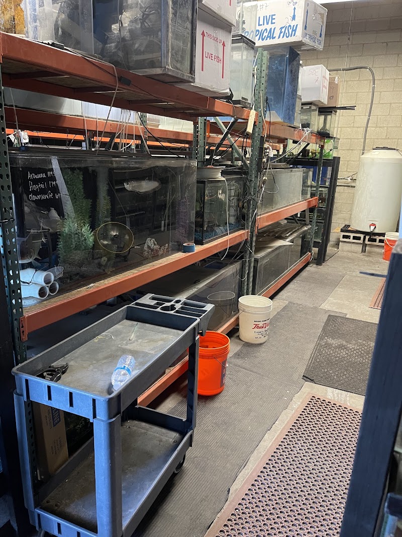 Fish N Tanks - Photo 3