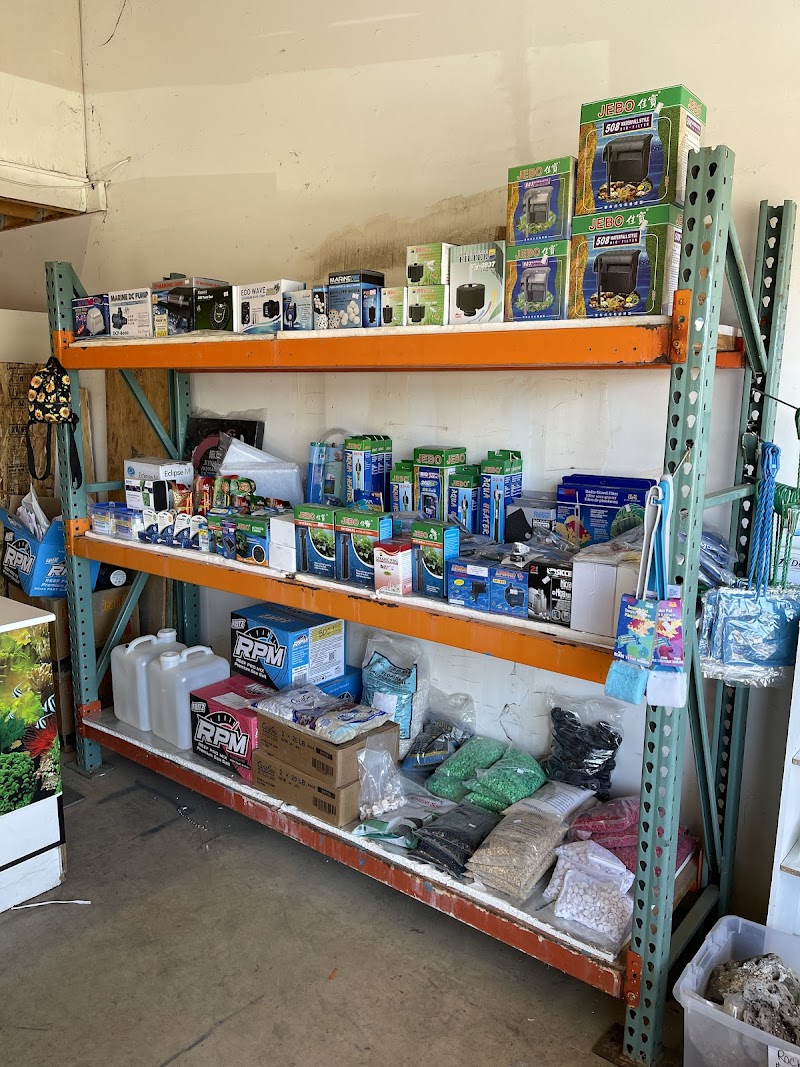 Fish N Tanks - Photo 4