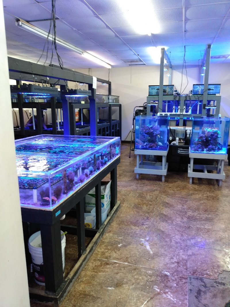 The Coral Reef - Photo 1