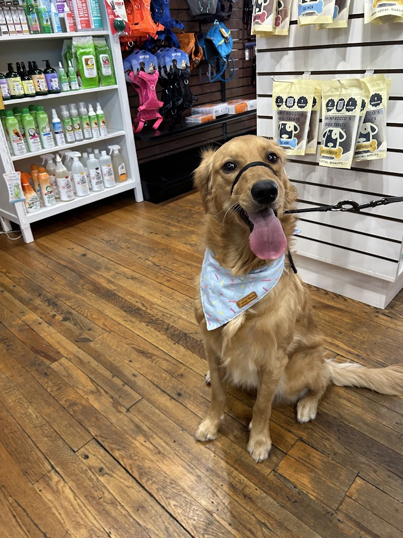 Tennessee Tails Pet Boutique - Photo 3