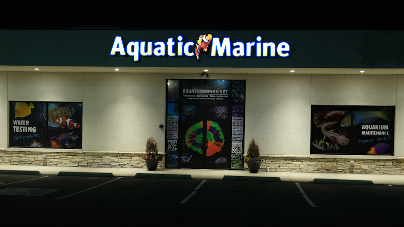 Aquatic Marine - Photo 1