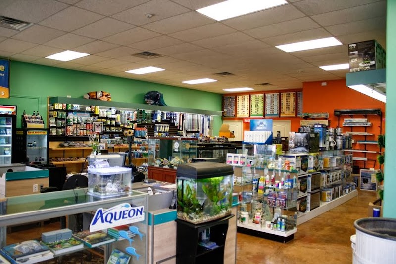 Aquatic Marine - Photo 2