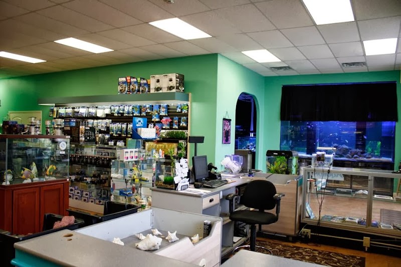 Aquatic Marine - Photo 3